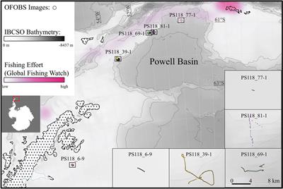 Food falls in the deep northwestern Weddell Sea